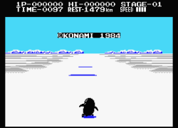 Antarctic Adventure