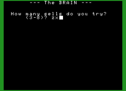 Brain, The