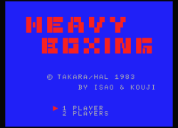 Heavy Boxing