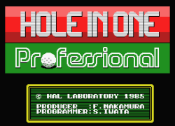 Hole In One Professional