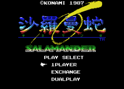 Salamander