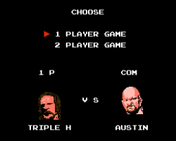 WWE Wrestling