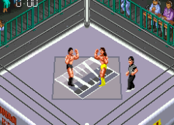 Super Fire Pro Wrestling III - Final Bout (Japan)