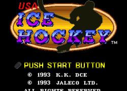 USA Ice Hockey (Japan) (Rev A)