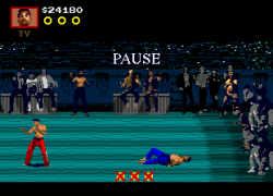 Pit-Fighter (World) (October 1991)