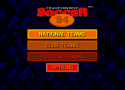 Championship Soccer '94