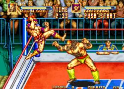 3 Count Bout / Fire Suplex (NGM-043)(NGH-043)