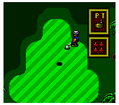 Super Golf (Japan)