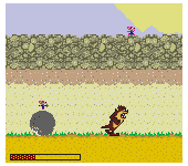 Taz-Mania - The Search for the Lost Seabirds (USA, Europe)