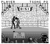 Kick Boxing, The (Japan)