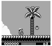 Adventure Island (USA, Europe)