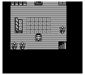 Monster Race (Japan)