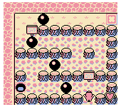 Mole Mania (USA, Europe)