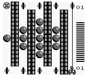 Migrain (Japan)