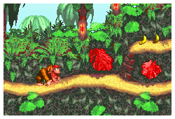 Donkey Kong Country (U)(Evasion)