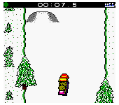 Extreme Sports with the Berenstain Bears (USA) (En,Fr,De,Es,It)