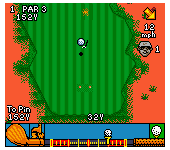 CyberTiger (USA)