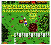 Conker's Pocket Tales (USA, Europe) (En,Fr,De)