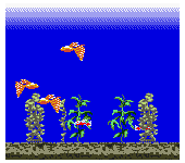 Aqualife (Japan)