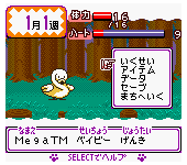 Animal Breeder 4 (Japan)