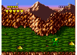 Battletoads (World)