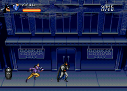 Adventures of Batman & Robin, The (USA)