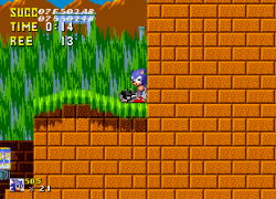 Sonic Poopy