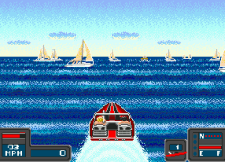 Bimini Run (USA)