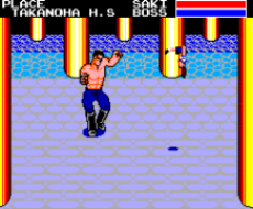 Sukeban Deka II - Shoujo Tekkamen Densetsu (Japan)