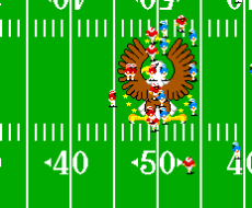 Sports Pad Football (USA)