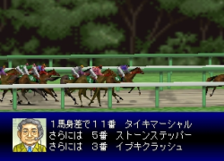 Derby Stallion 64 (Japan)