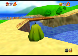 Squash 64