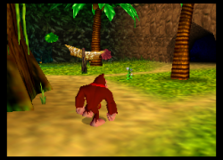Donkey Kong 64 (Japan)