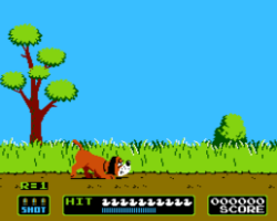 Duck Hunt (World)