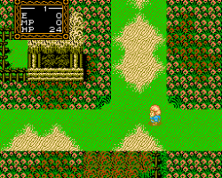 Willow (Japan)