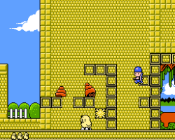 Kiwi Kraze - A Bird-Brained Adventure! (USA)