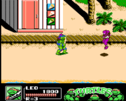 Teenage Mutant Ninja Turtles II - The Manhattan Project (Japan)