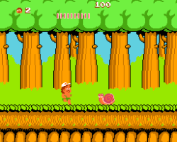 Hudson's Adventure Island - Classic in the Pacific (Europe)