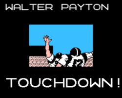 Tecmo Bowl (USA)