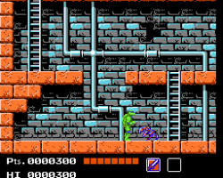 Teenage Mutant Ninja Turtles (USA)