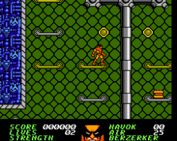 Wolverine (USA)