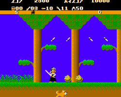 Musashi no Ken - Tadaima Shugyou Chuu (Japan)