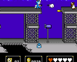 New York Nyankies (Japan)