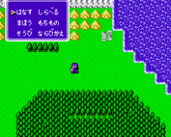 Double Moon Densetsu (Japan)