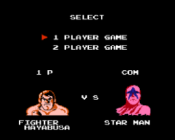 Pro Wrestling (USA)