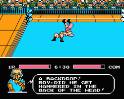 Tecmo World Wrestling (USA)