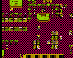 Casino Kid (USA)
