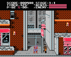 Ninja Gaiden (USA)