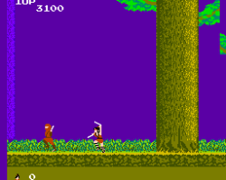 Kage no Densetsu (Japan)