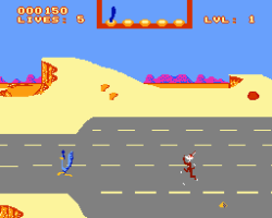 Road Runner (USA) (Unl)